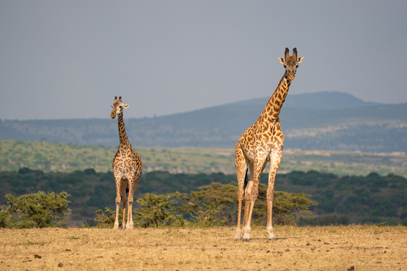 20190819-0056 Masai Mara
