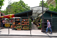 [060618-1256] Blumen- und Vogelmarkt Marché aux Fleurs et aux Oiseaux in der Nähe von Notre-Dame