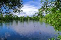 Abtskücher Teich / Lake in Heiligenhaus