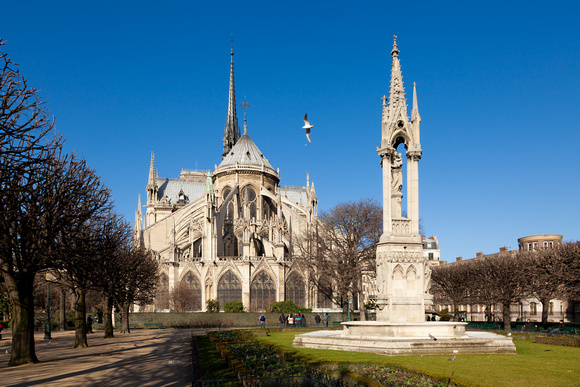 20120219-0855 Notre Dame de Paris