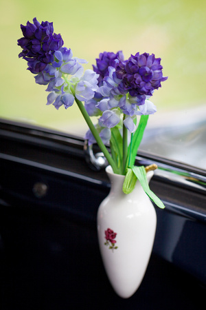 20120804-075 Violet Flowers