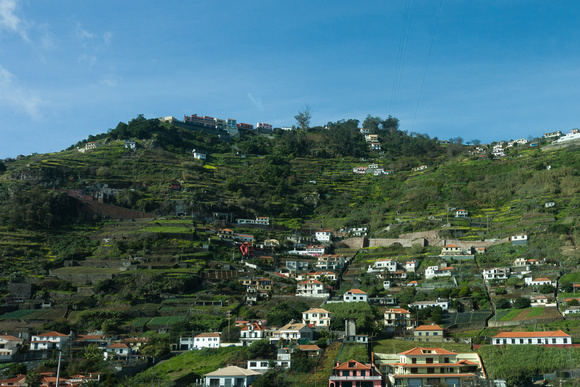 20170201-390 Madeira
