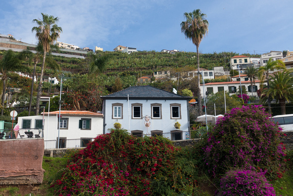 20170201-453 Madeira