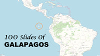 100 Slides Of Galapagos