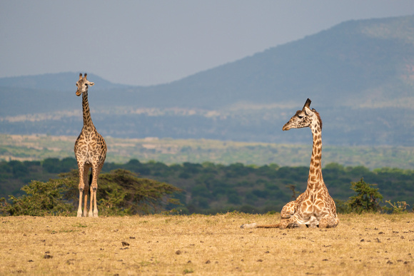 20190819-0054 Masai Mara