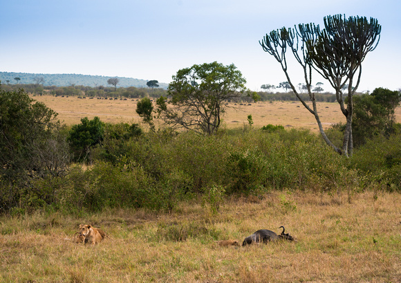 20190819-0383 Masai Mara