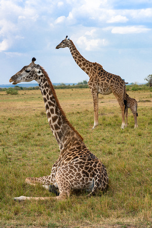 20190820-1817 Masai Mara