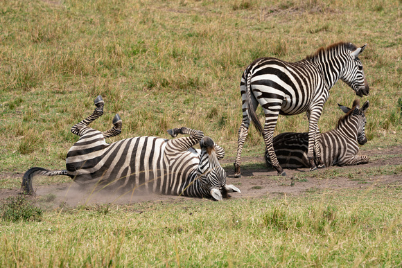 20190820-1877 Masai Mara