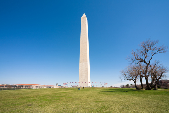 20110313-083 Washington Memorial