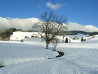 [060104-0179] Skischule in Waldau